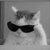 hodajm1