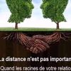 user8031565248856