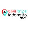 Dive Trips Indonesia