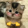 cutetiktok40