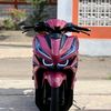 tedi125stdom