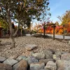 flowergardenhomestay