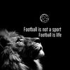 aslan_6_yan
