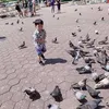 alexkaydenhanh