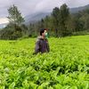 ariefjuliawaan