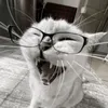 liksssa_xxx1