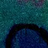 yahya_bld