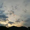 angelinakala