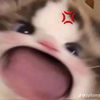 amini_54