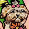cynthia@santarosashihtzupuppy