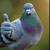 wendy711_1