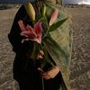 mennabelal07