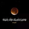 bahaa.ramadan8