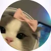 myr_iam__