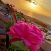 toufik_a_05