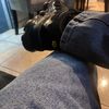 7_pndj