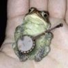 happy_frog_boy
