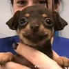 yo_12740