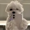 itigo_3270