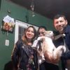 family_flow238