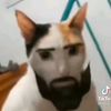 pendejo_si_me_respondes