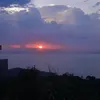maumau748.o