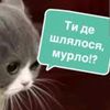 jane_di_k