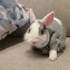 bonnyasmrr