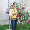 meomeo3341