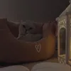 tvoymik