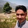 fazalrabi6531