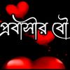 areyanahmed04