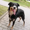 julixx969