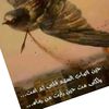 alazazmo_711