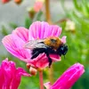 naturelover4594