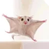 vinnyahhhdih