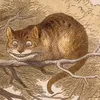 williamcrowe887