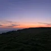sineadkinsellak36
