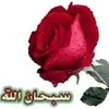 xafsamaxamed128