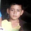 emerson2006_18
