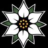 wukongmartialarts