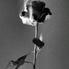 starless_sky1320