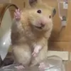thag_cuoi_2le7