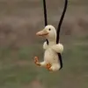 denny_duck