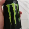 maxiryba