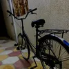 _mohali10