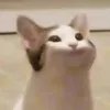 safkototh