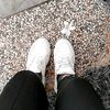 shofy.colesion