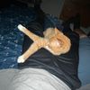 simon.nd.chunkerzx