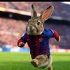 carlosantoniodami0